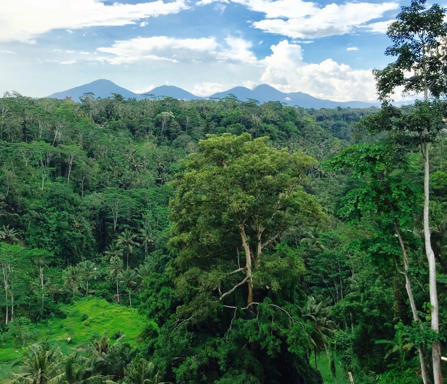 Pousada Ayuterra Ubud