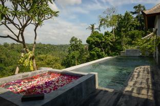 Villa Ayuterra *
