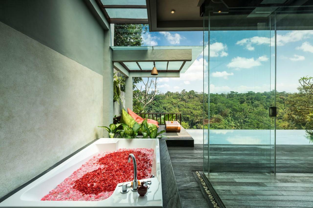 Villa Ayuterra